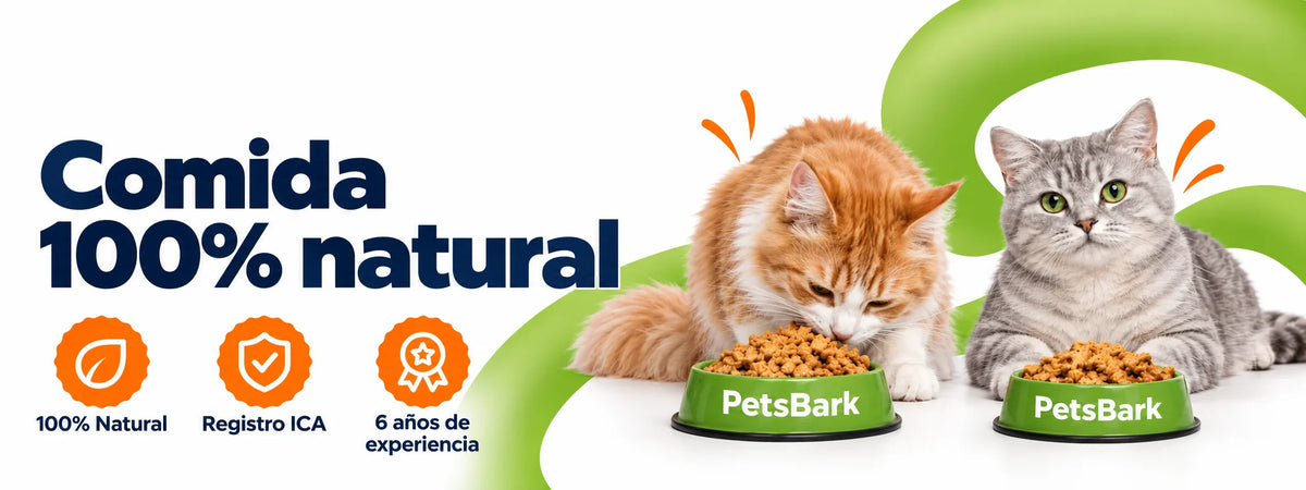 Alimento Húmedo para gato