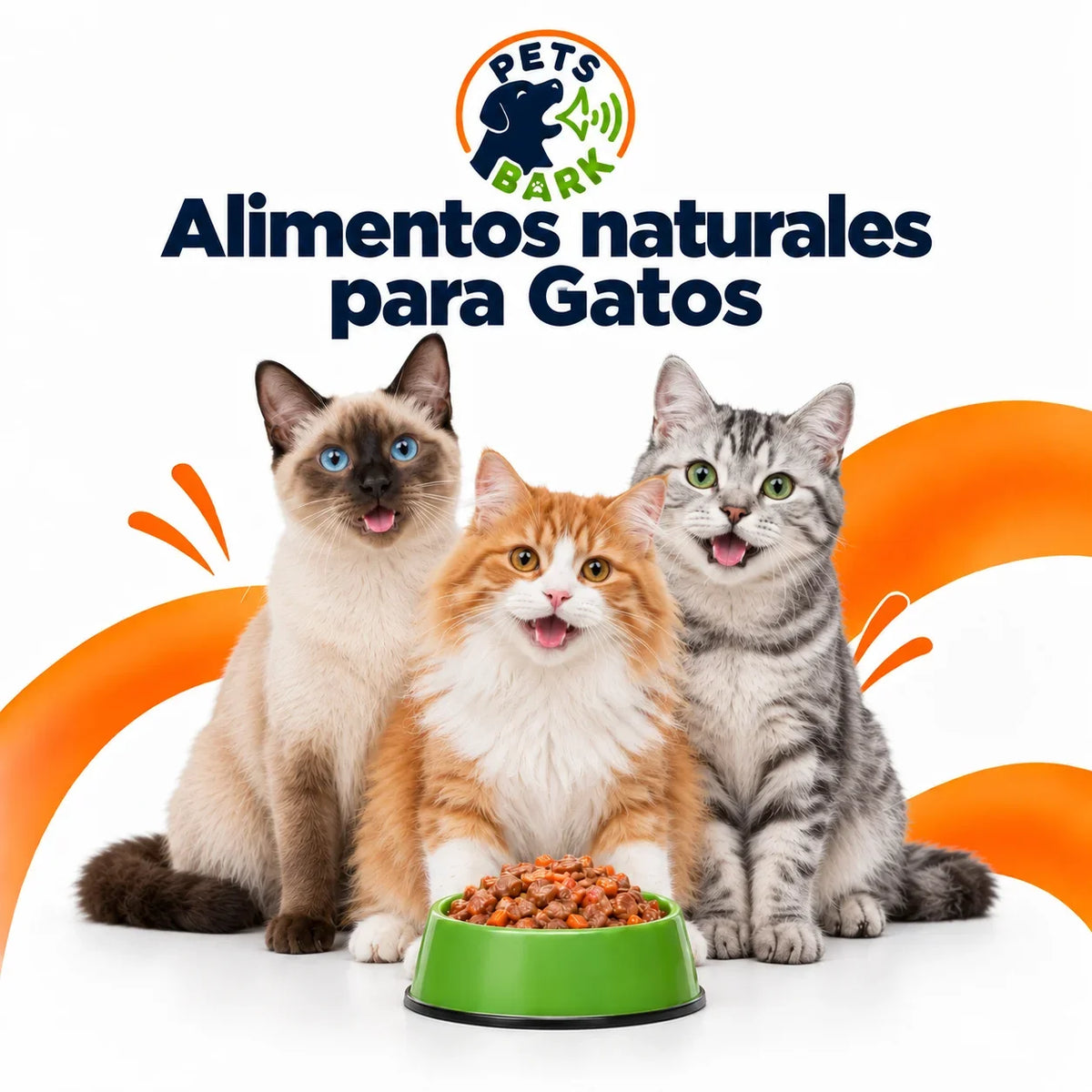 Gatos