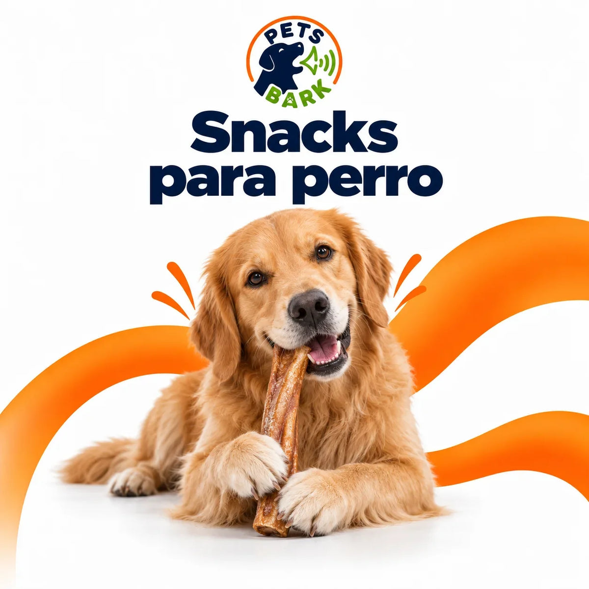 Albondigas para perro