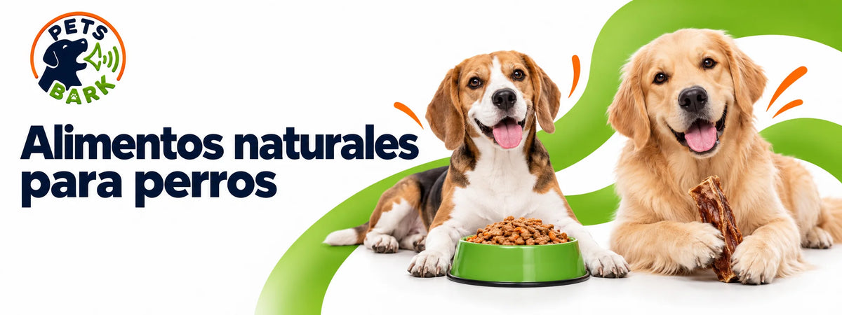 Perros