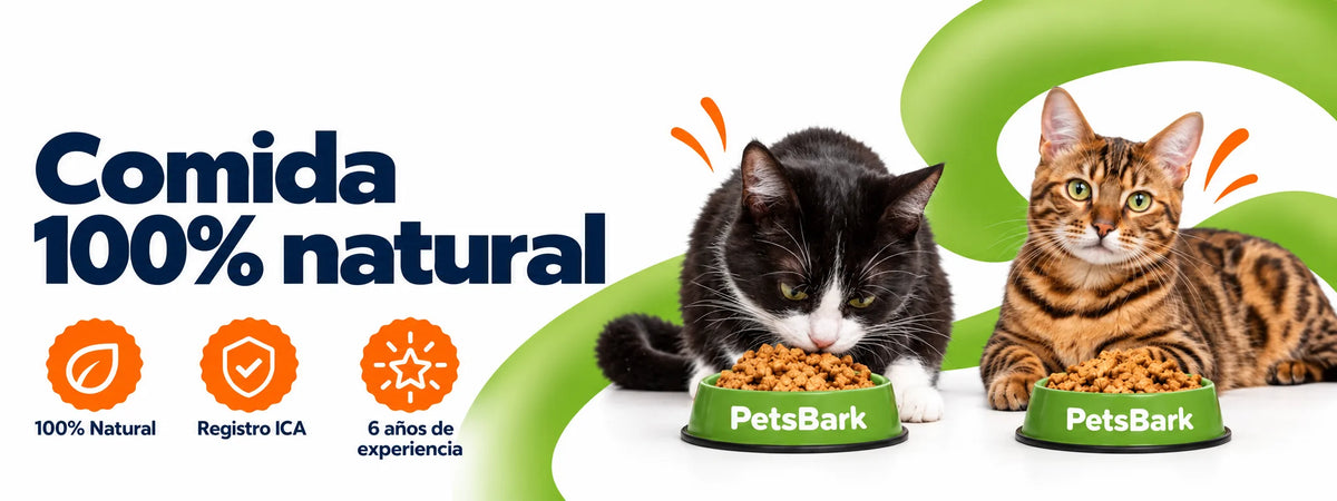 Alimento Deshidratado para gato